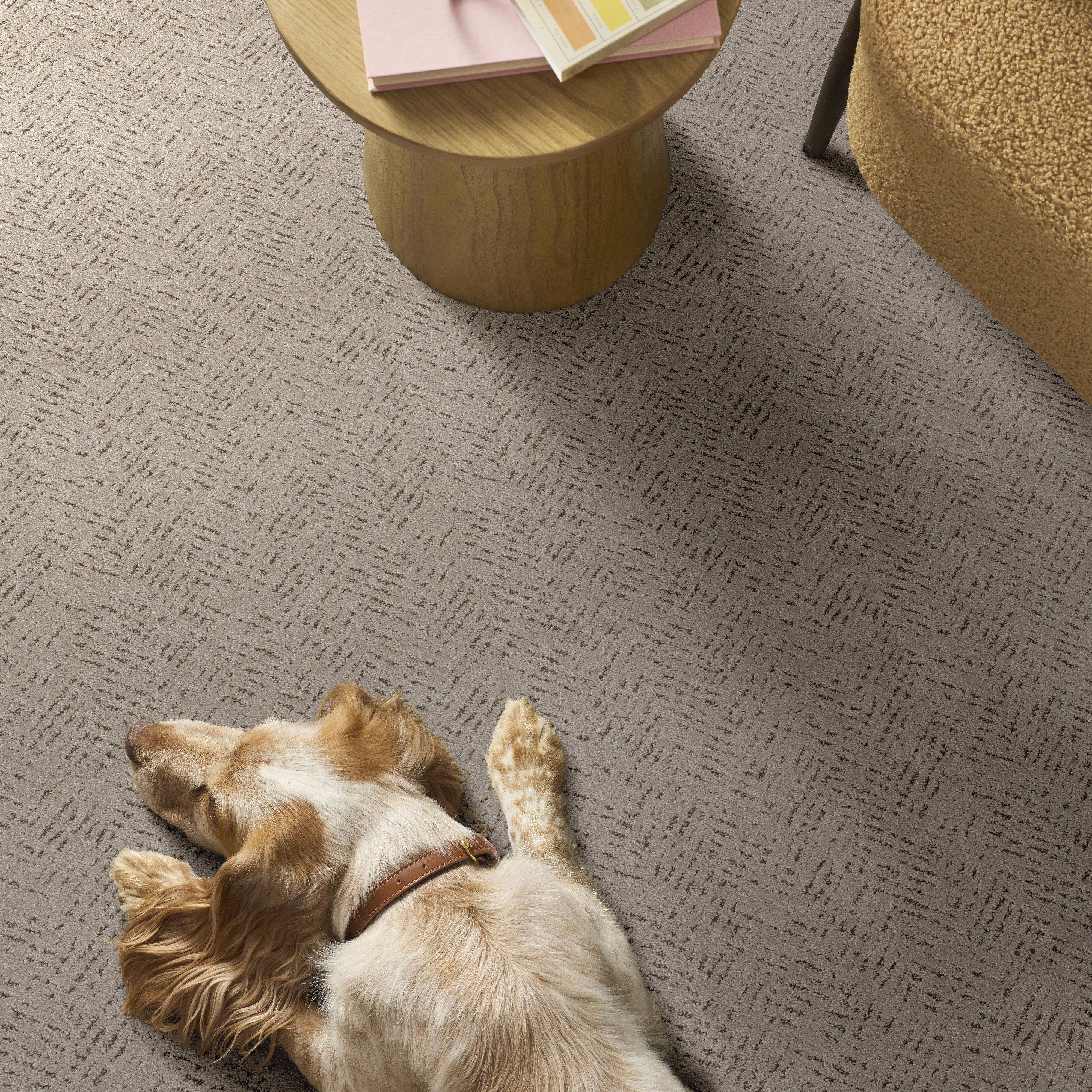 Favoured Path - River Birch Carpet | Shaw Floors